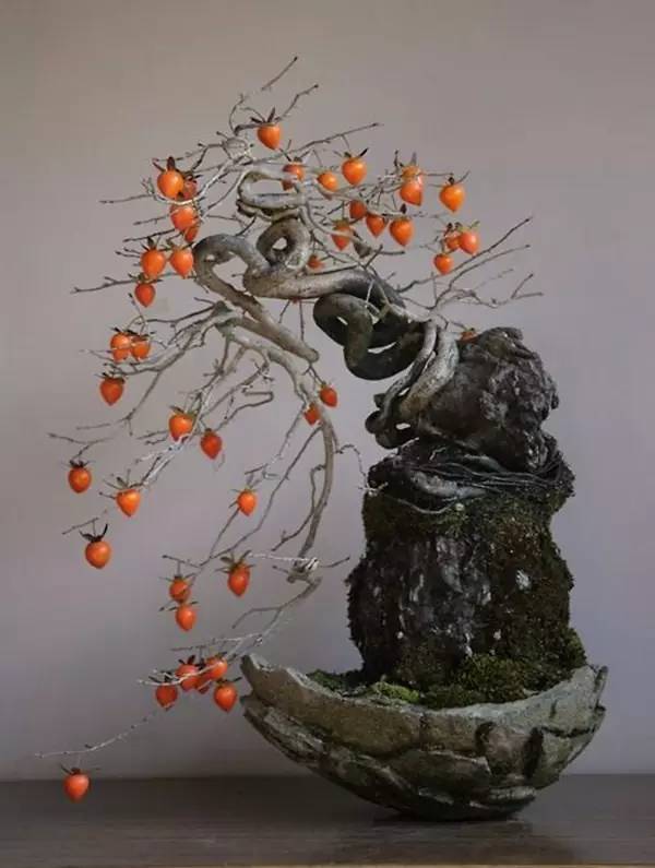 驚艷的水果盆栽