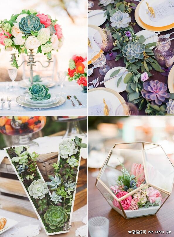 32種超乎你想像的時(shí)尚多肉植物婚禮設(shè)計(jì)