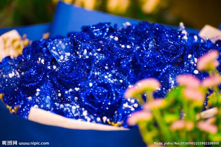 適合情人節送的花及送花寓意盤點