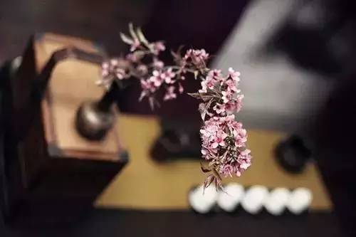 春天 茶席上的插花