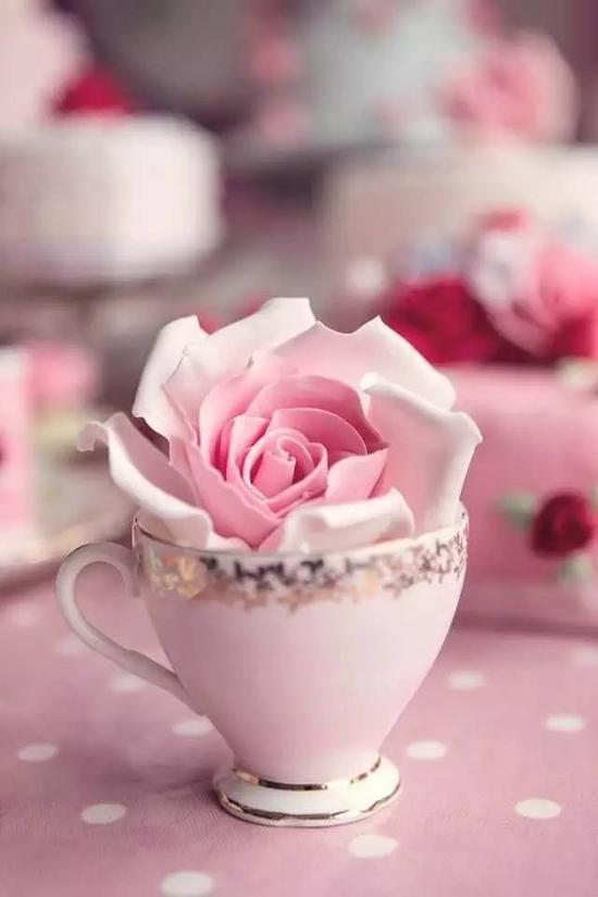 所有器具都能讓你的花藝很時髦