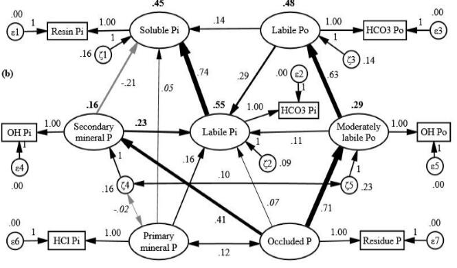 森林土壤磷形態分級、轉化及調控研究獲進展
