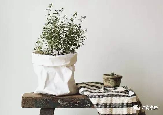 當植物碰到紙袋呈現想不到的效果