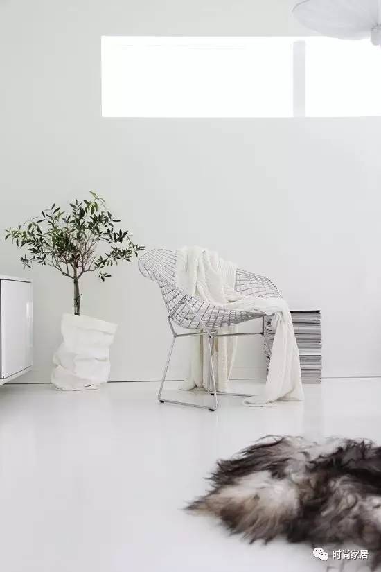 當植物碰到紙袋呈現想不到的效果