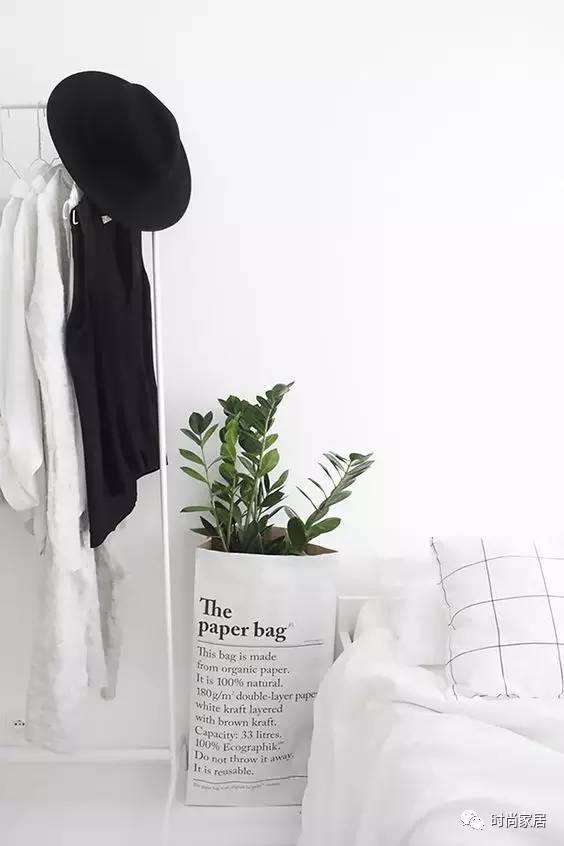 當植物碰到紙袋呈現想不到的效果