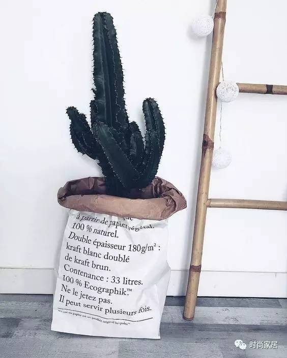 當(dāng)植物碰到紙袋呈現(xiàn)想不到的效果