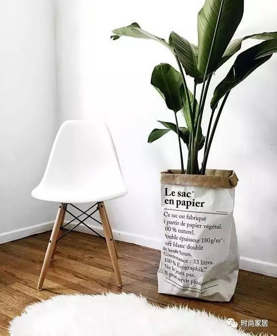 當(dāng)植物碰到紙袋呈現(xiàn)想不到的效果