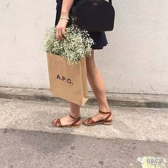 當植物碰到紙袋呈現想不到的效果