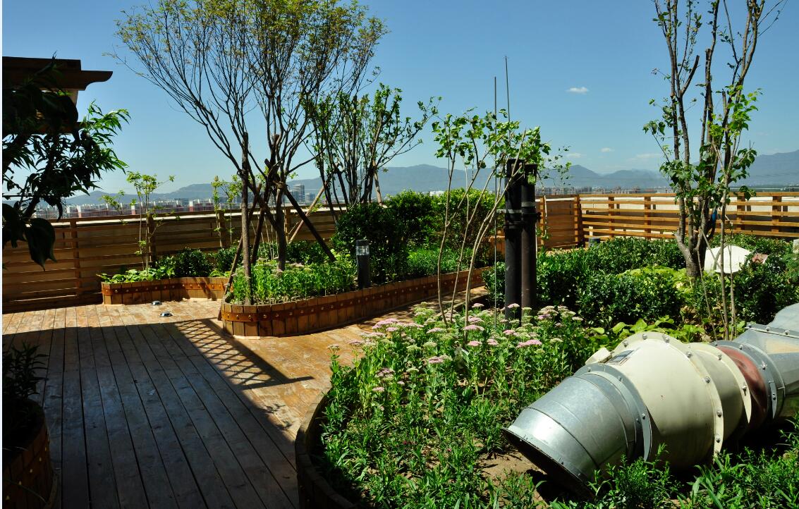 北大國(guó)際醫(yī)院屋頂綠化新工藝的探索