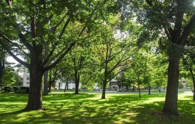 “十三五”我國園林綠化行業前景如何？