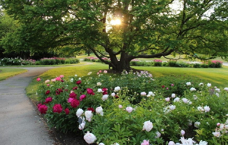 “十三五”我國(guó)園林綠化行業(yè)前景如何？