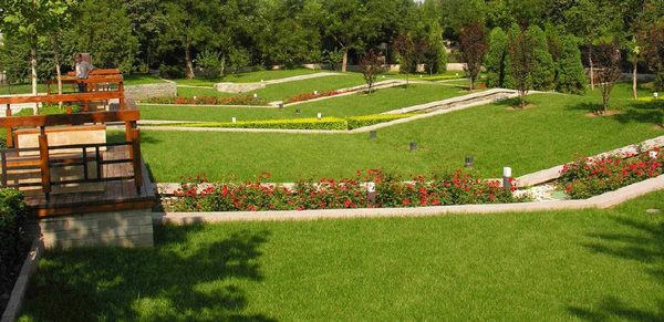 園林綠化高速發展 養護業務前景可期