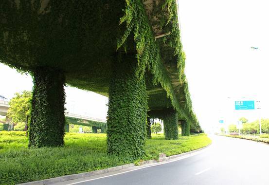 立體綠化：提升城市綠色“肚量”的利器