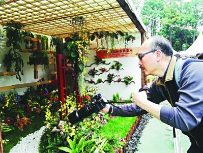 武漢花藝獲香港花卉展“最具特色大獎”