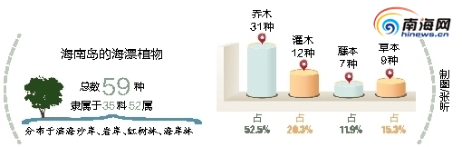 解密神奇的海南海漂植物