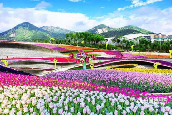 青島世博園：百萬歐洲名貴花卉7號齊綻放