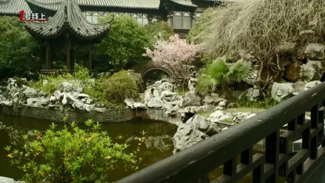 這城市根本就是座大園林！