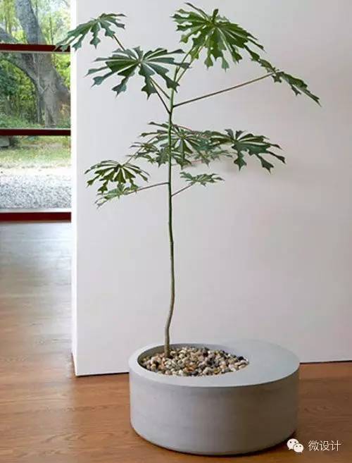 各式各樣的景觀細節設計欣賞