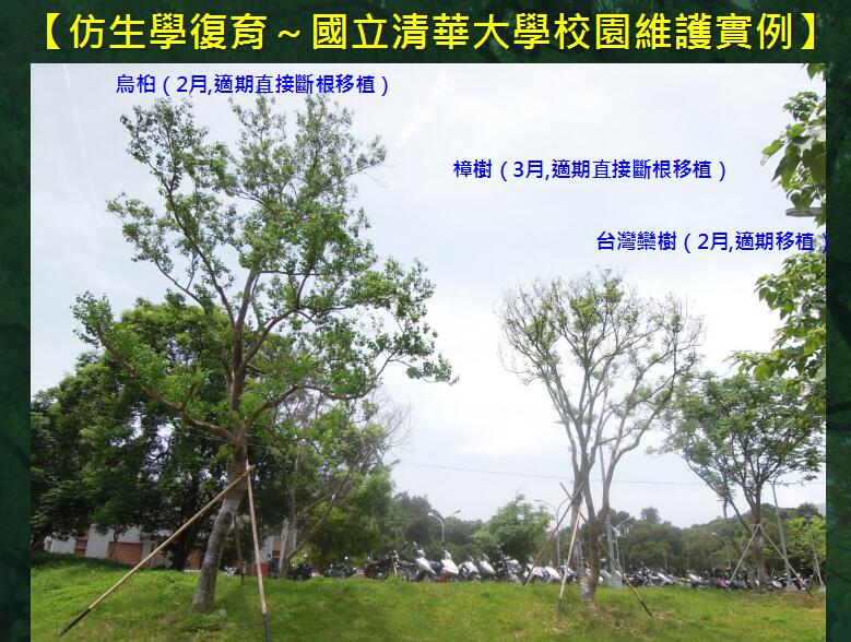 地產(chǎn)園林國(guó)際論壇李碧峰演講實(shí)錄