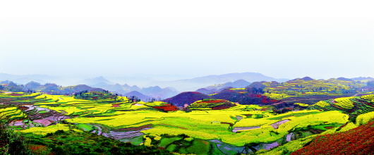 貴州：旅游+農業　農田成為風景