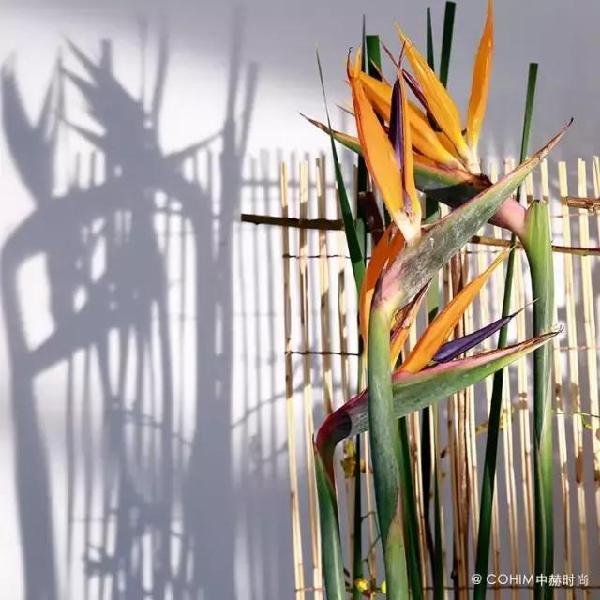 用低成本架構出更具設計感的花藝形態