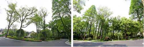 深入企業共話園林發展——風景園林部落一行參觀考察西湖山莊項目