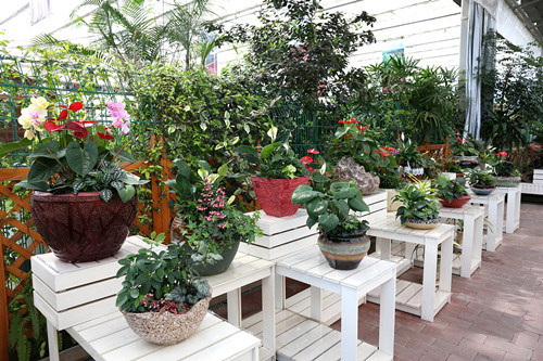 深入企業共話園林發展——風景園林部落一行參觀考察西湖山莊項目