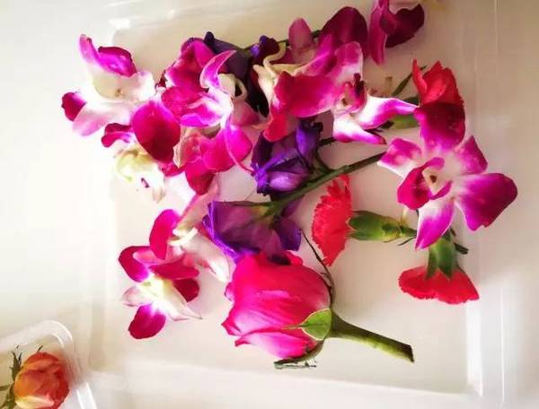 古老的草木拓印，留住植物最美的一刻