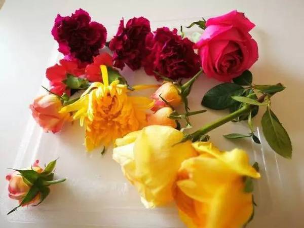 古老的草木拓印，留住植物最美的一刻