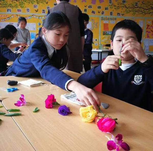 古老的草木拓印，留住植物最美的一刻