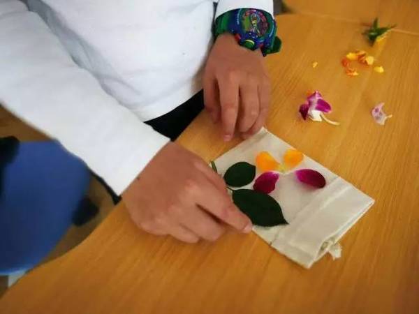 古老的草木拓印，留住植物最美的一刻