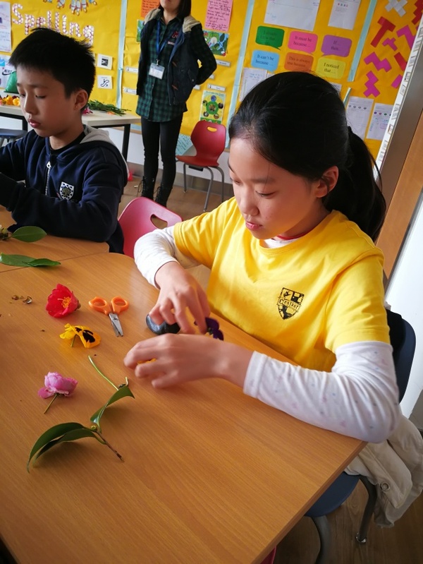 古老的草木拓印，留住植物最美的一刻