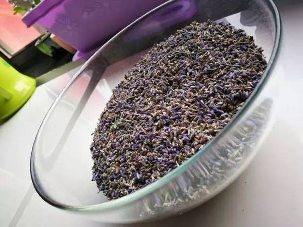 古老的草木拓印，留住植物最美的一刻