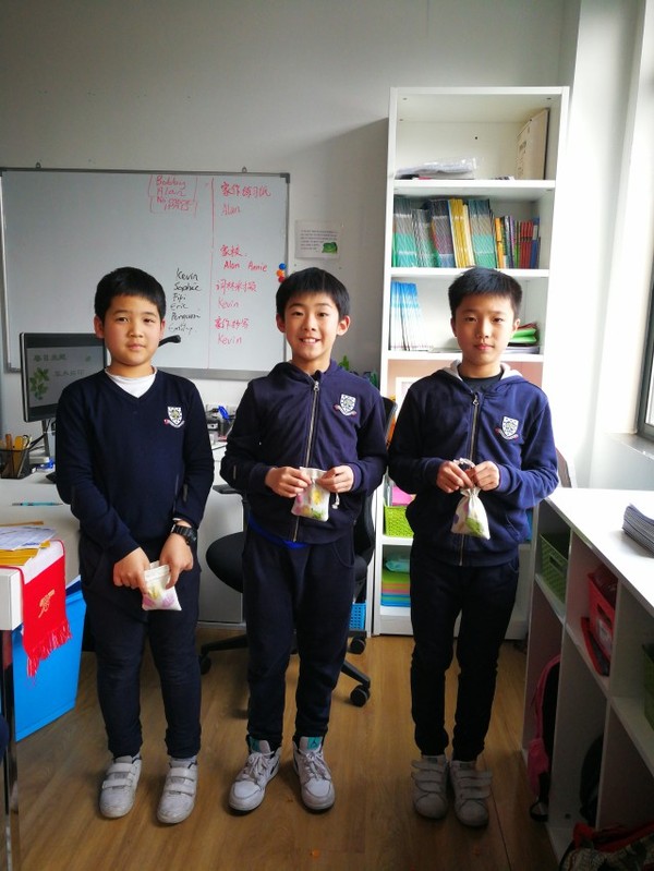 古老的草木拓印，留住植物最美的一刻