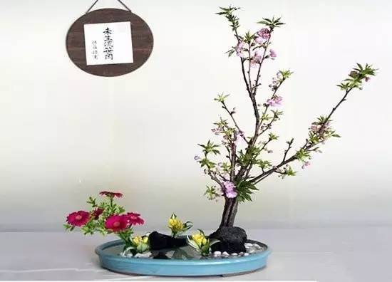 東方插花三大原則，構圖表現形式和十三要訣