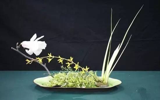 東方插花三大原則，構圖表現形式和十三要訣