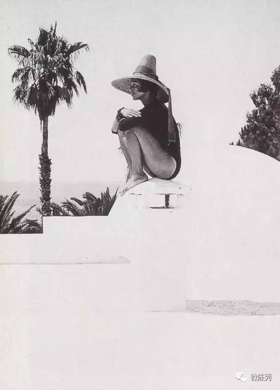 櫥窗布置：植物世界可以多極致？