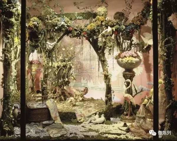 櫥窗布置：植物世界可以多極致？