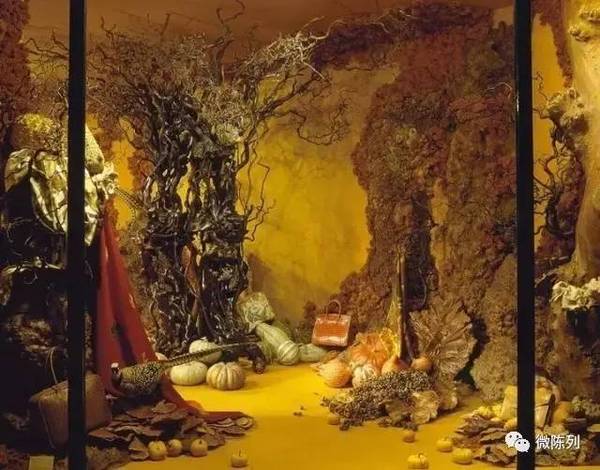 櫥窗布置：植物世界可以多極致？