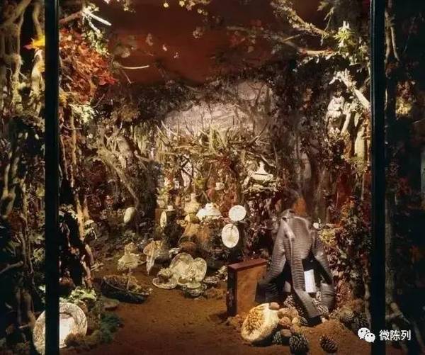 櫥窗布置：植物世界可以多極致？