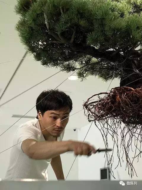 櫥窗布置：植物世界可以多極致？