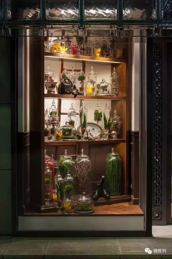 櫥窗布置：植物世界可以多極致？