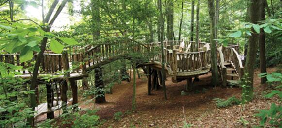 案例賞析:適合所有年齡人群的神秘園