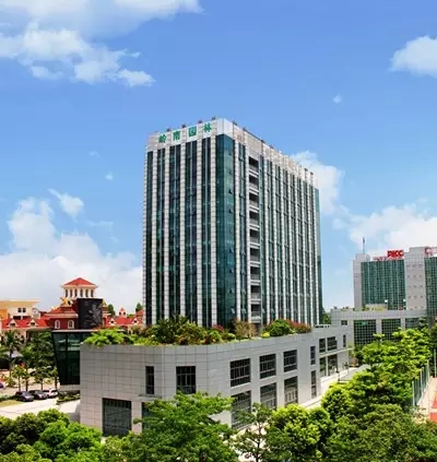 嶺南園林上市這三年