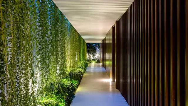 植物墻激活黯然的建筑