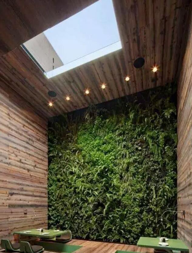 植物墻激活黯然的建筑