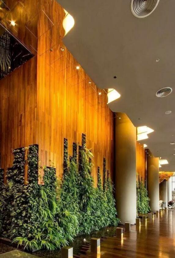 植物墻激活黯然的建筑