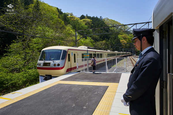 驚艷的日本羊山公園芝櫻
