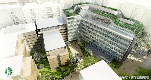 令人傾倒的“瀑布式”植物墻