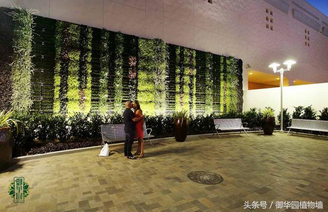 令人傾倒的“瀑布式”植物墻